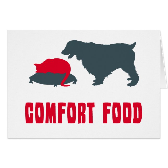 Englischer SpringerSpaniel (Vorderseite (Horizontal))