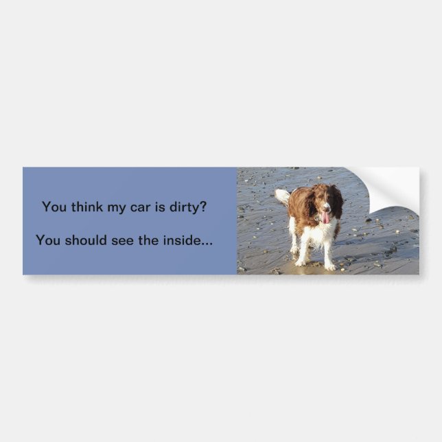 Englischer Springerspaniel-Autoaufkleber Autoaufkleber (Vorne)