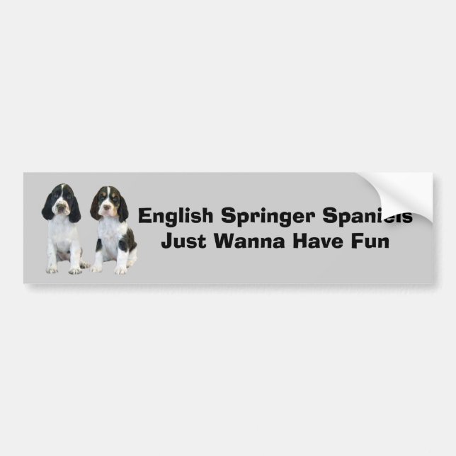 Englischer Springerspaniel-Autoaufkleber Autoaufkleber (Vorne)