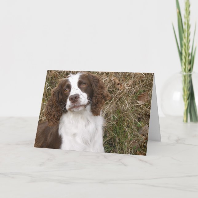 Englischer SpringerSpaniel - der beste Freund des Karte (Vorderseite)