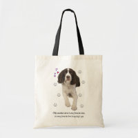 Englischer Springerspaniel-Hund