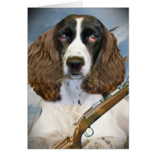 Englischer Springerspaniel-Jagden