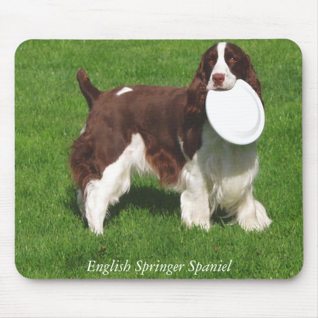 Englischer SpringerSpaniel Mousepad (Vorne)