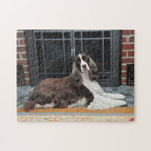 Englischer Springerspaniel-Puzzlespiel Puzzle