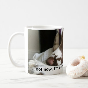Englischer Springerspaniel-Tasse Tasse