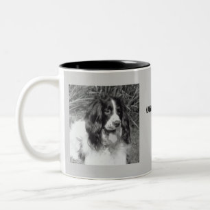 Englischer Springerspaniel-Tasse Zweifarbige Tasse
