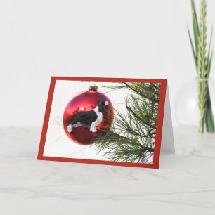 Englischer Springerspaniel-Weihnachtskarten-Ball Feiertagskarte