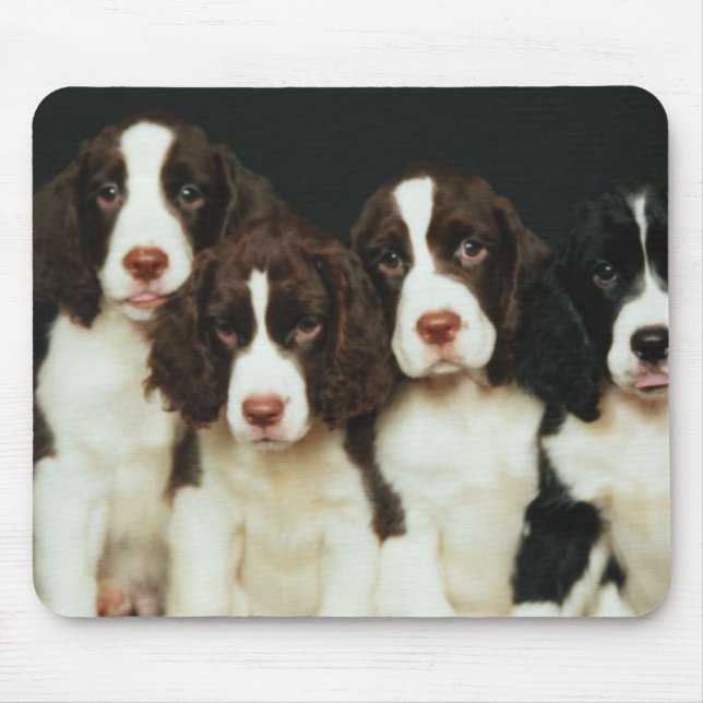 Englischer Springerspaniel-Welpen (2) Mousepad (Vorne)