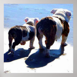 Englisches Bulldoggen-allein schließlich Plakat