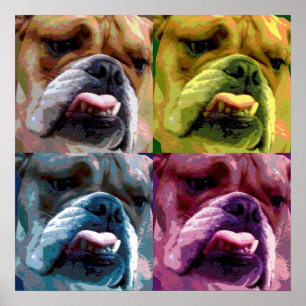 Englisches Bulldoggenplakat Poster