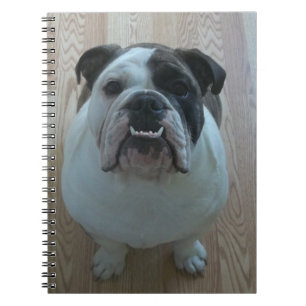 Englisches Bulldoggenwelpennotizbuch Notizblock
