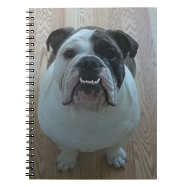 Englisches Bulldoggenwelpennotizbuch Notizblock (Vorderseite)