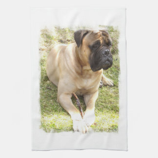 Englisches Mastiff-Geschirrtuch Geschirrtuch
