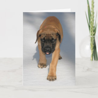Englisches Mastiff-Welpe notecard Karte