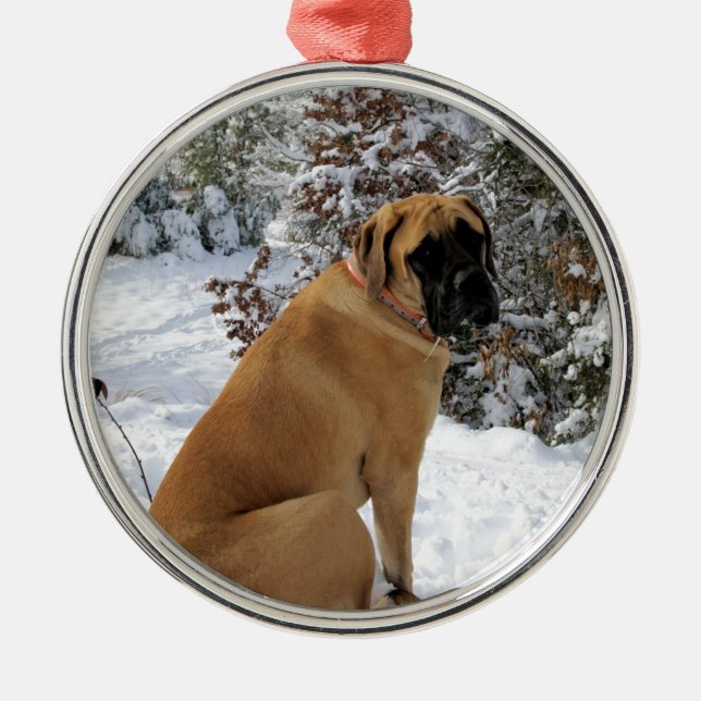 Englisches Mastiffhund"Schnee-Pose" Foto Ornament Aus Metall (Vorne)