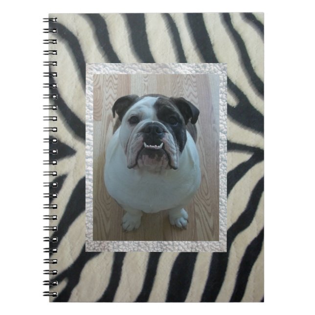 Englisches Notizbuch Bulldogge des Zebra Notizblock (Vorderseite)