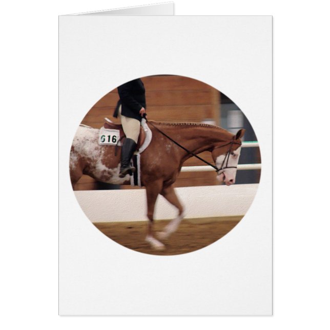 Englisches Reiten (Vorne)