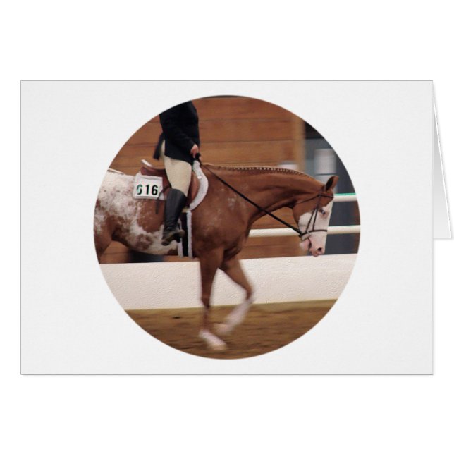 Englisches Reiten (Vorderseite (Horizontal))