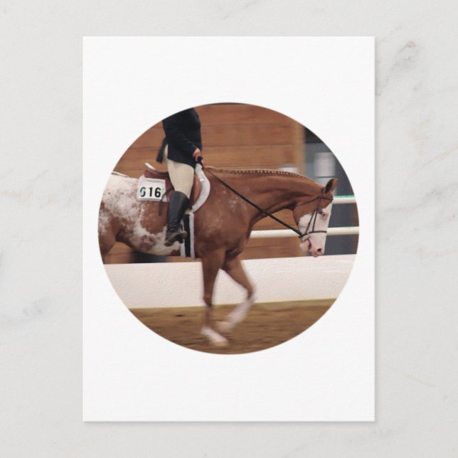 Englisches Reiten Postkarte (Vorderseite)