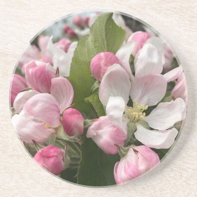English Apple Blossom Getränkeuntersetzer (Vorne)