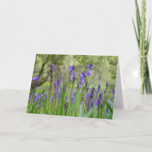 English Bluebell Field Note Card Feiertagskarte