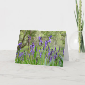 English Bluebell Field Note Card Feiertagskarte