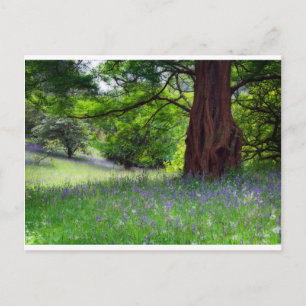 English Bluebells Postkarte