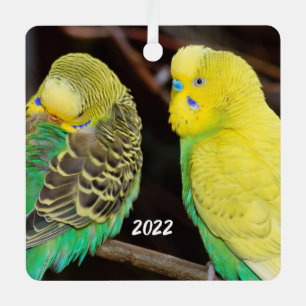 English Budgie Parakeet Keramik Ornament Aus Metall