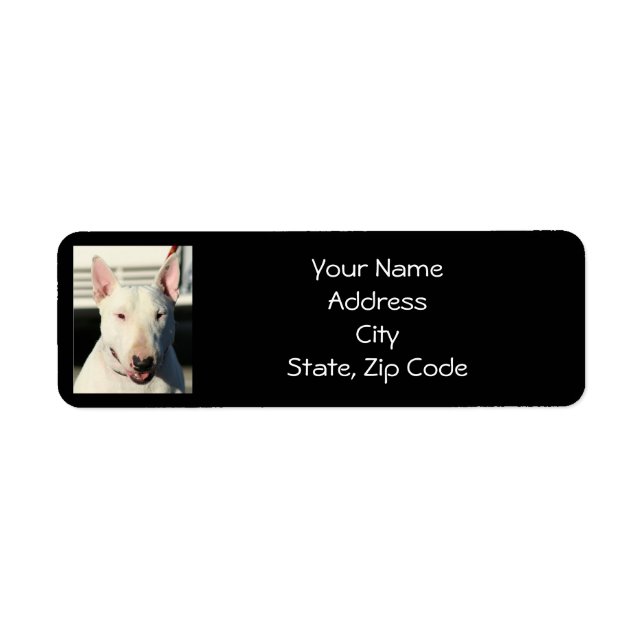 English Bull Terrier Address Labels (Vorne)