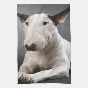 ENGLiSH BuLL TERRiER Küchentuch