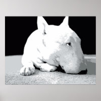 English Bull Terrier, Pop Art Print