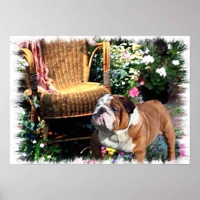 English Bulldog Art Prints Poster (Vorne)