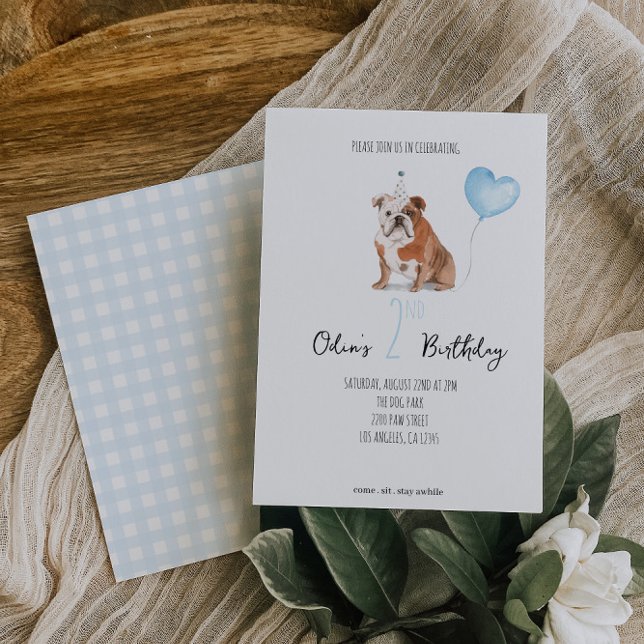 English Bulldog Birthday Einladung - Junge (Von Creator hochgeladen)