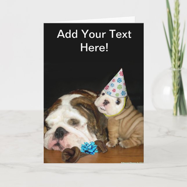 English Bulldog Birthday Karte (Vorderseite)