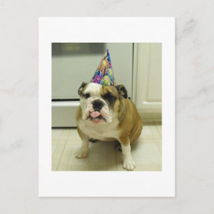 English Bulldog Birthday Postkarte