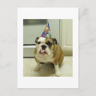 English Bulldog Birthday Postkarte