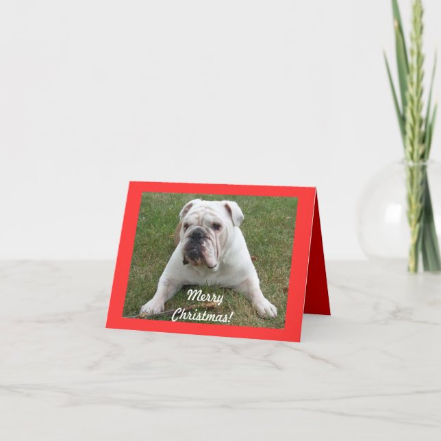 English Bulldog Christmas Cards Feiertagskarte (Vorderseite)