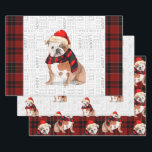 English Bulldog Christmas Dog und Kariert Geschenkpapier Set<br><div class="desc">Dieser niedliche englische Bulldog ist bereit für die Feriensaison ein roter und schwarzer Schal und Santa Cap,  was diesen Hund zu einer echten Mode macht. Dieser niedliche Weihnachtshund ist mit einem karierten Druck in Rot und Schwarz auf diesem Set der Geschenkpackung für den Hundefreund gepaart.</div>