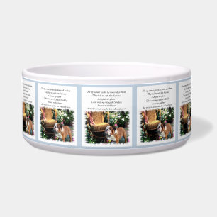 English Bulldog Dowling Napf