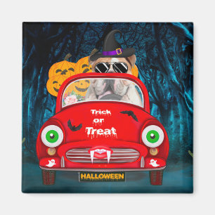 English Bulldog Driving Car Beängstigend Halloween Magnet
