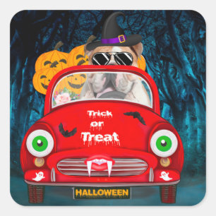English Bulldog Driving Car Beängstigend Halloween Quadratischer Aufkleber