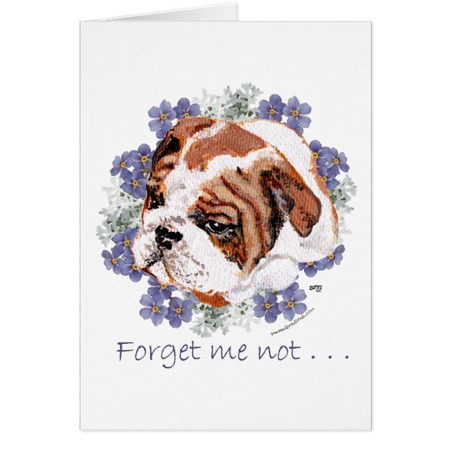 English Bulldog Erinnerungen (Vorne)