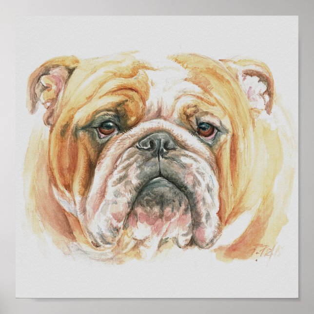 English Bulldog face Watercolor Poster (Vorne)
