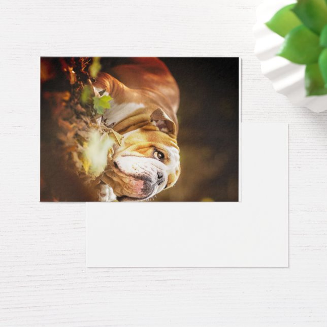 English Bulldog Forest Foto (Schreibtisch)