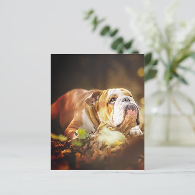 English Bulldog Forest Foto (Stehend Vorderseite)