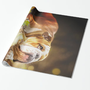 English Bulldog Forest Foto Geschenkpapier