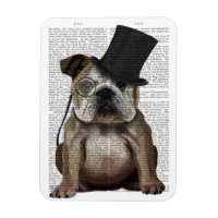 English Bulldog, Formal Hound und Hat