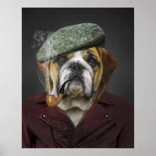 English Bulldog French Hat Pipe Poster