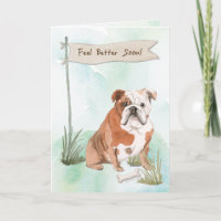 English Bulldog fühlen sich besser nach der Operat