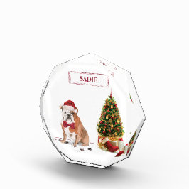 English Bulldog Funny Christmas Dog mit Baum Fotoblock